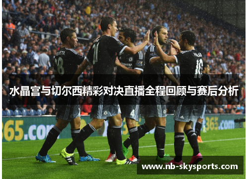 水晶宫与切尔西精彩对决直播全程回顾与赛后分析